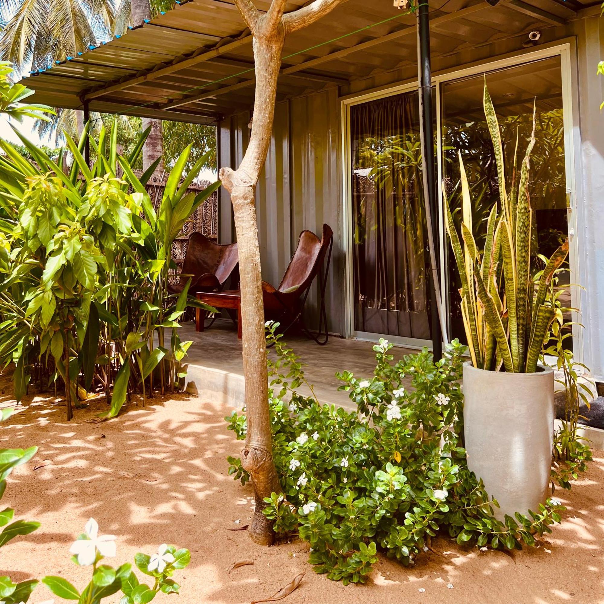 Little Lagoon Hostel Arugam Bay Eksteriør billede
