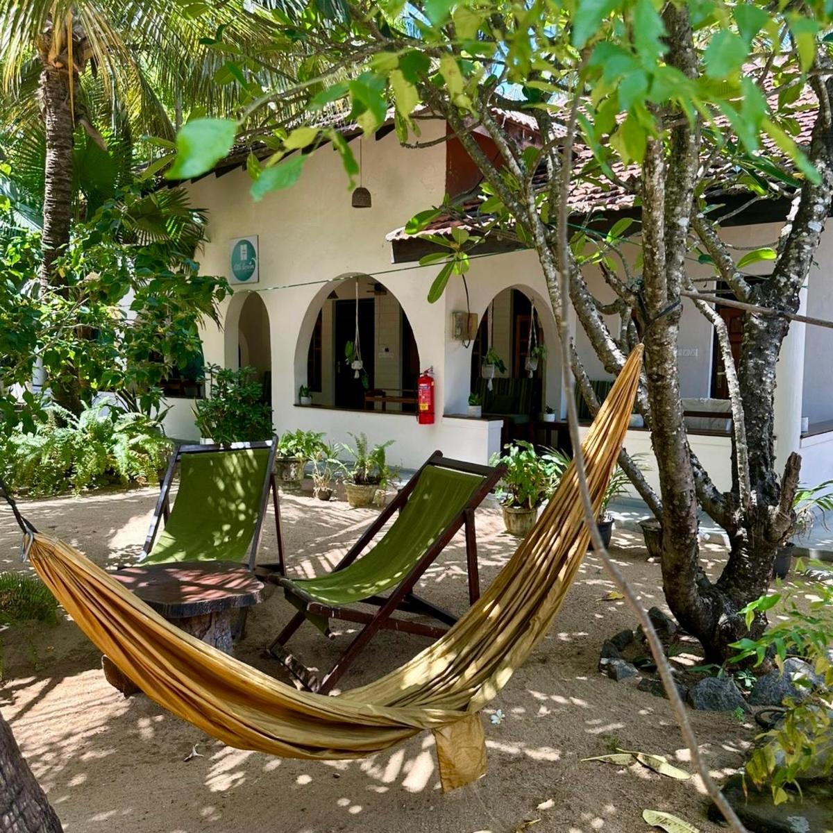 Little Lagoon Hostel Arugam Bay Eksteriør billede