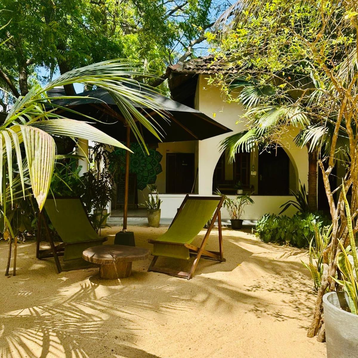 Little Lagoon Hostel Arugam Bay Eksteriør billede